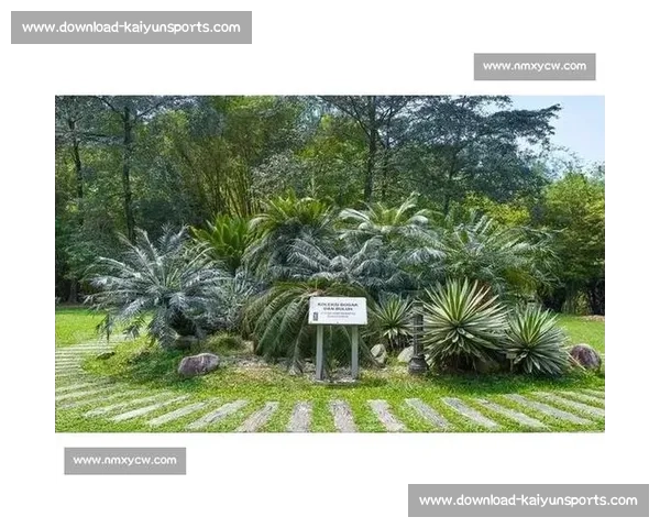 金杯赛非洲独苗：南非 2005 年的跨洋之旅